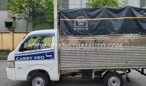 Xe Suzuki Carry Pro 2019