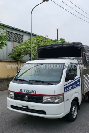 Xe Suzuki Carry Pro 2019